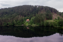 Äschefotos-006