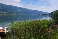 Äschefotos-049
