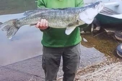 Zander 87cm