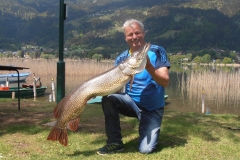 Hecht 125cm