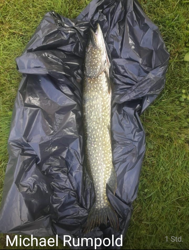 Rumpold Michael Hecht 74cm Vassachersee