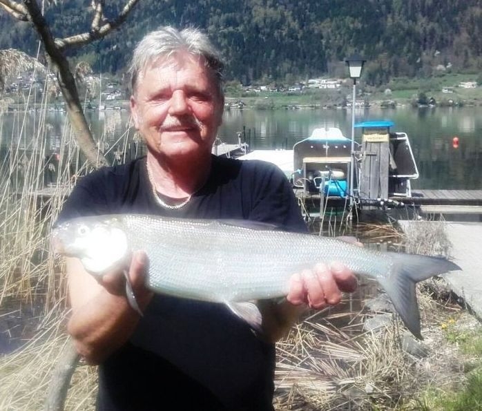 Schoblocher Willi Renke 62cm Ossiachersee
