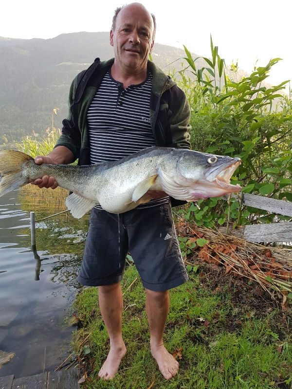 Struckl Manfred Zander 90 cm 8,2 Kg Ossiachersee
