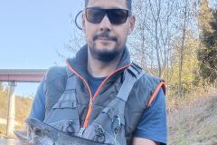 Druml_Regenbogenforelle