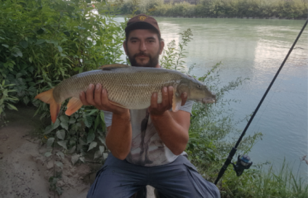 Barbe 80 cm Bissinger Mathias Drau.JPG