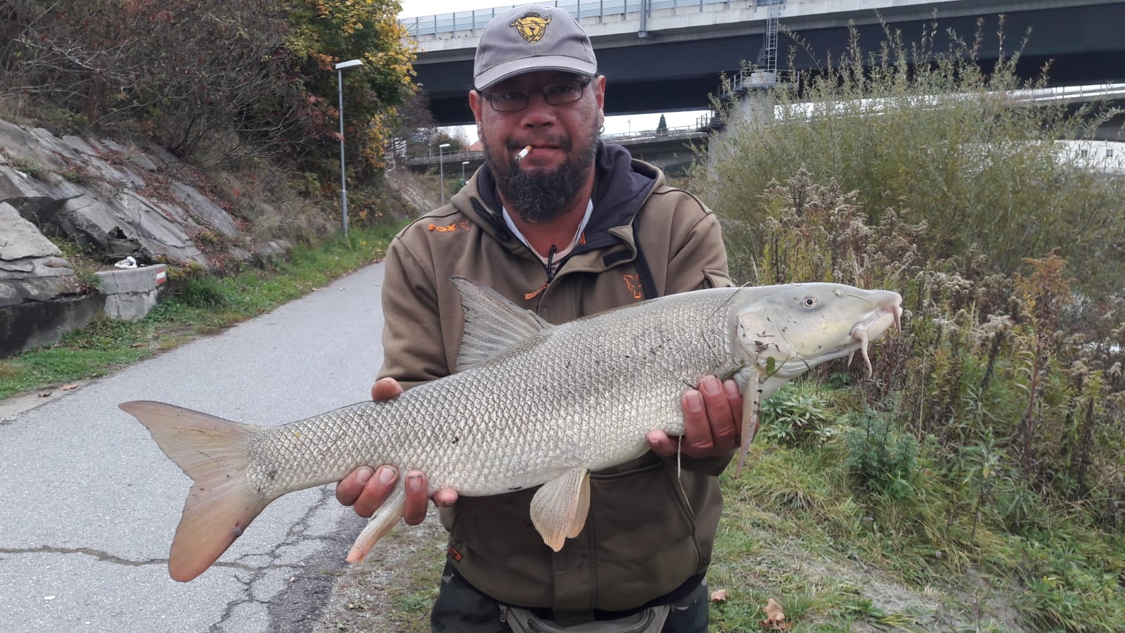Barbe 81,5cm Waschnig Stefan Drau