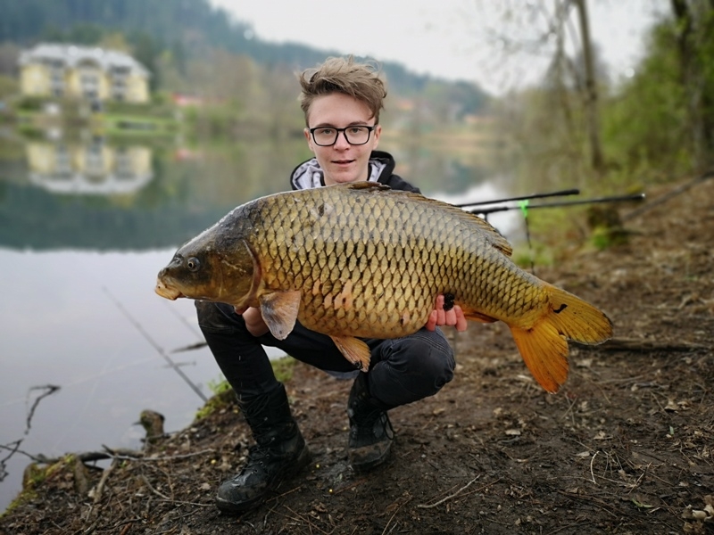 Schuppenkarpfen 81cm Grum Florian St. Leonhardersee