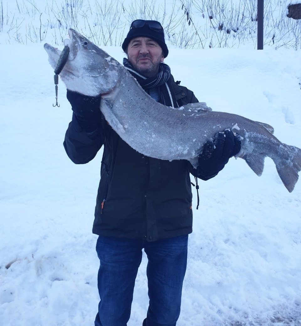 Huchen_110 cm Dzinic Bahria 29.01.2019 Drau