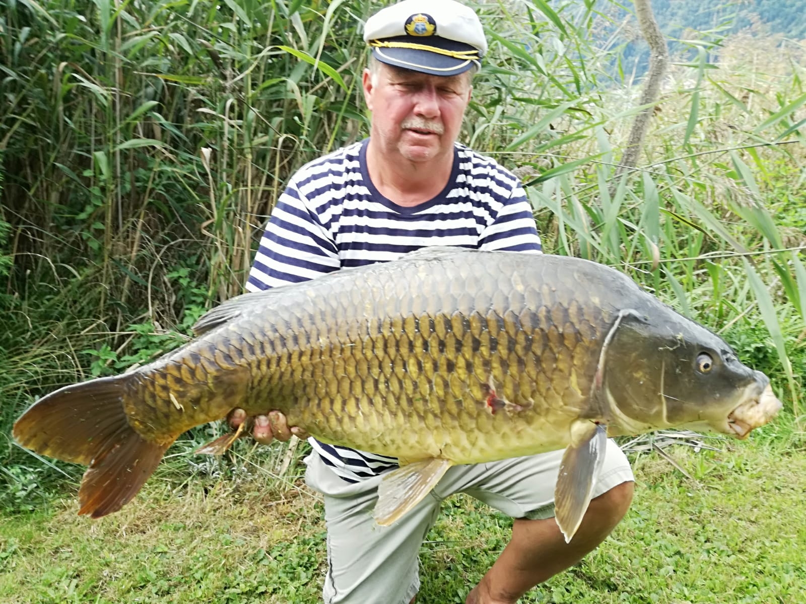 Karpfen 93 cm Scharl Roland Ossiachersee