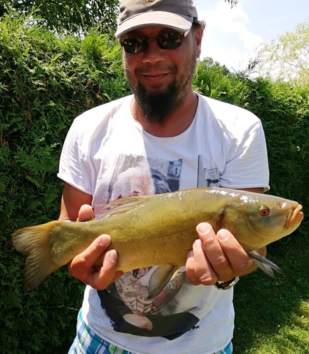 Schleie 51 cm Waschnig Stefan Ossiiachersee
