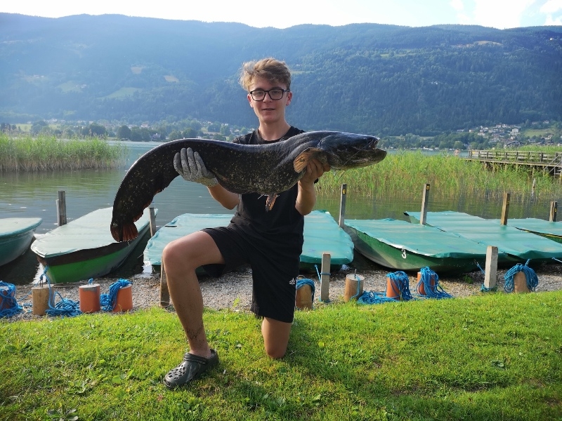 Wels_108 cm Florian Grum Ossiachersee