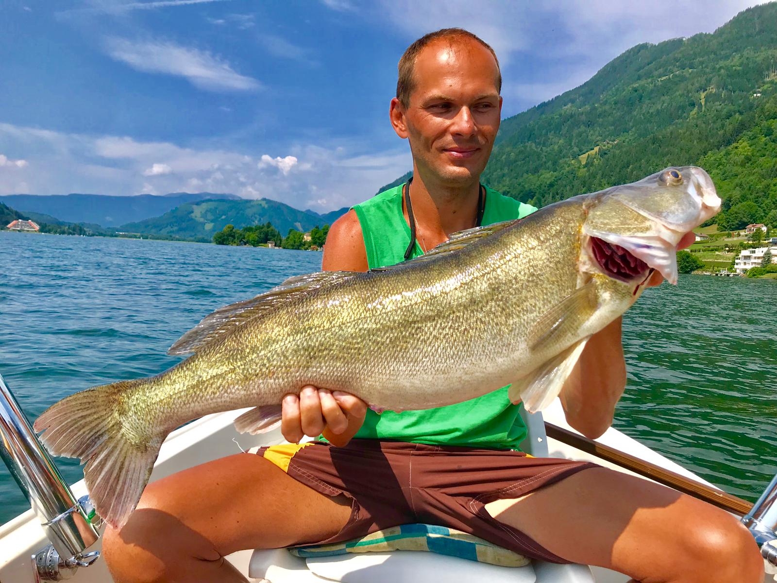 Zander 85 cm Blüml Johannes Ossiiachersee