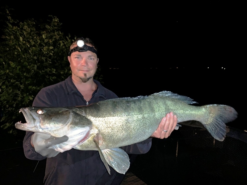 Zander 92 cm Suntiger Andreas Ossiachersee