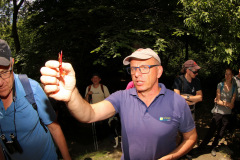 Jürgen Petutschnig